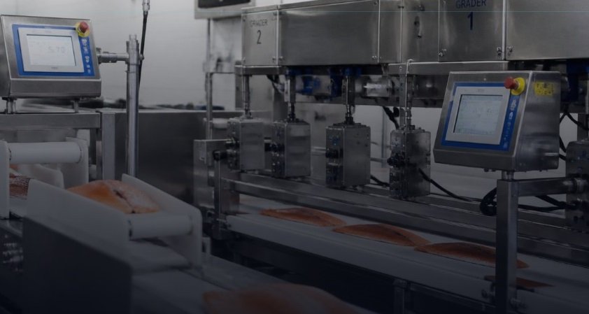 Línea de procesamiento industrial de salmón